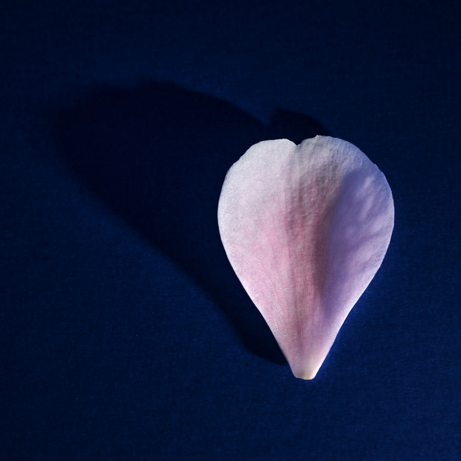 Petal